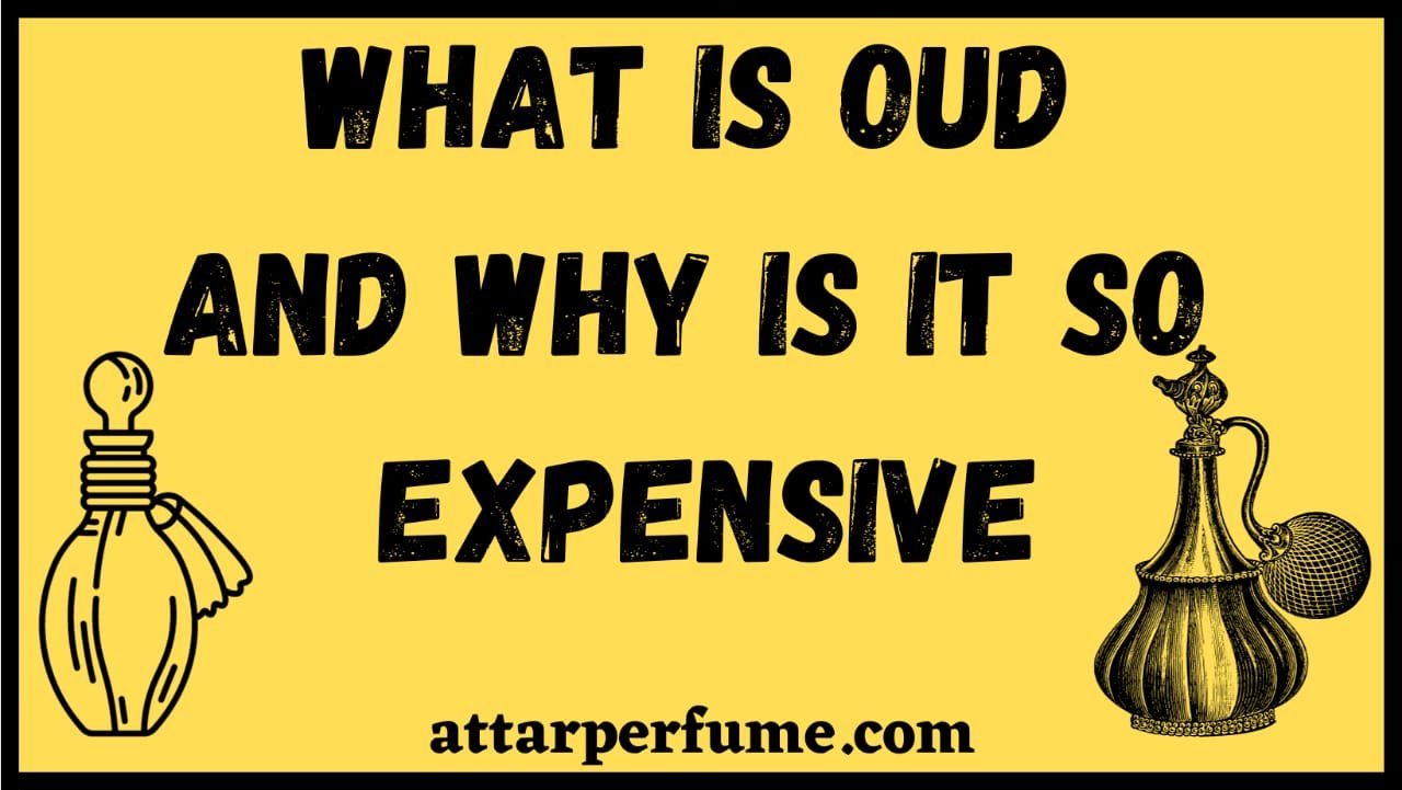 You are currently viewing What Is Oud And Why Is It So Expensive